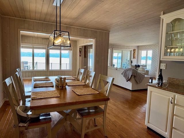 68121 Edgewater Beach Rd, White Pigeon, MI 49099 - dining area featuring wooden ceiling, wooden walls, dark wood finished floors, and plenty of natural light