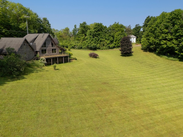 7111 Gilbert Rd, Pittsford, MI 49271 - view of grassy yard