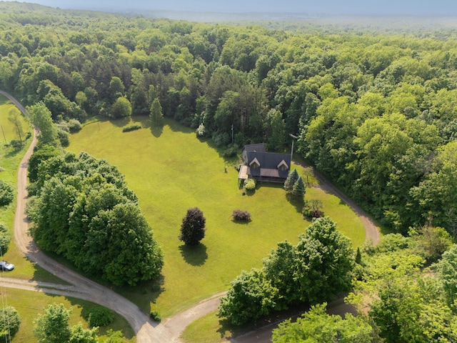 7111 Gilbert Rd, Pittsford, MI 49271 - aerial view of sparsely populated area featuring a heavily wooded area