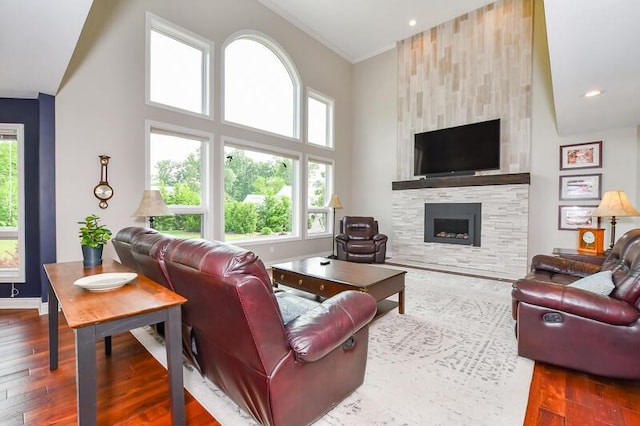 5284 Green Pine Ln, Kalamazoo, MI 49009 - living area featuring wood finished floors, plenty of natural light, a fireplace, and a high ceiling
