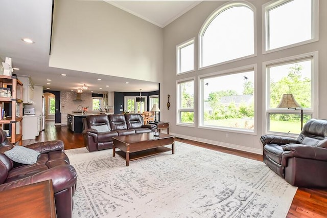 5284 Green Pine Ln, Kalamazoo, MI 49009 - living room with dark wood finished floors, ornamental molding, a towering ceiling, and recessed lighting
