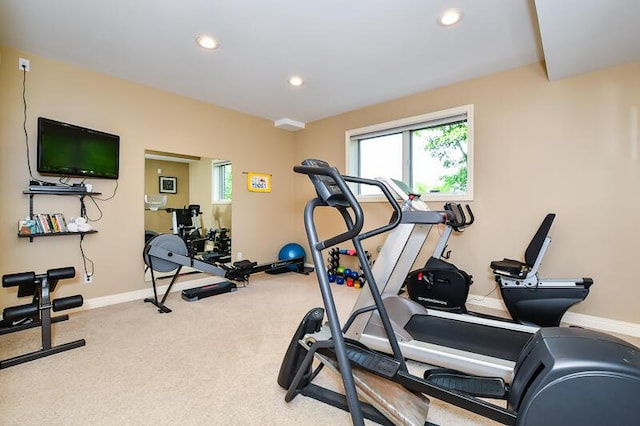 5284 Green Pine Ln, Kalamazoo, MI 49009 - workout area with healthy amount of natural light, recessed lighting, and carpet flooring