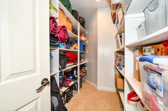 5284 Green Pine Ln, Kalamazoo, MI 49009 - walk in closet featuring carpet flooring