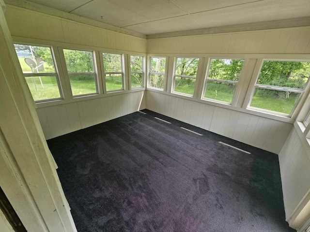20051 Capital Ave NE, Battle Creek, MI 49017 - unfurnished sunroom featuring wood walls, healthy amount of natural light, and carpet floors