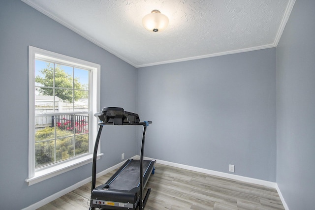 42 S 25th St, Battle Creek, MI 49015 - workout area with a textured ceiling, light wood-style flooring, ornamental molding, and lofted ceiling