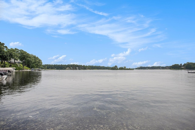 225 W Columbia Ave Unit 6, Battle Creek, MI 49015 - water view