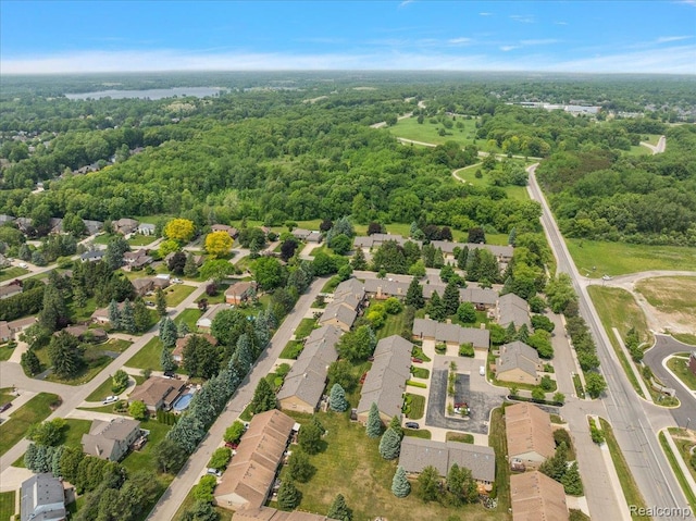 55728 Lorraine Dr Unit 20, Utica, MI 48316 - aerial overview of property's location with nearby suburban area and a forest