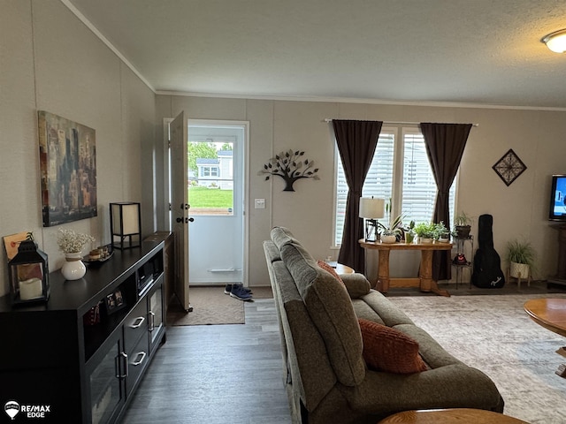 149 W Chestnut Cir, Davison, MI 48423 - photo 13