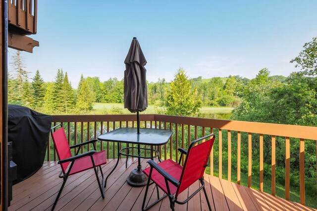 6658 Schuss Mountain Ln, Mancelona, MI 49659 - photo 7