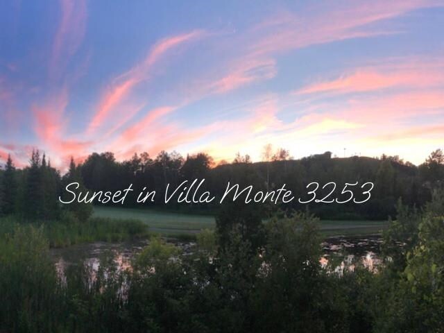 6658 Schuss Mountain Ln, Mancelona, MI 49659 - photo 8