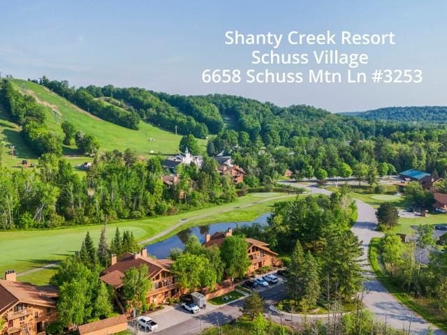 6658 Schuss Mountain Ln, Mancelona, MI 49659 - photo 1