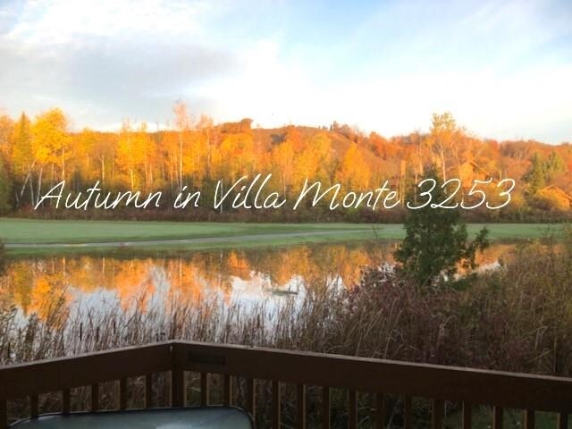 6658 Schuss Mountain Ln, Mancelona, MI 49659 - photo 10