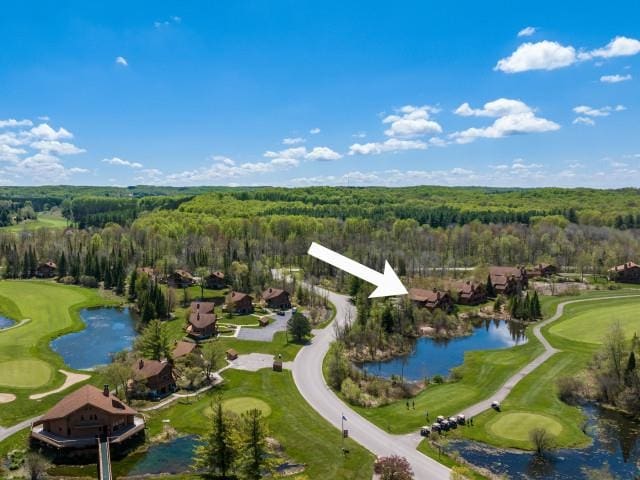 6658 Schuss Mountain Ln, Mancelona, MI 49659 - photo 2