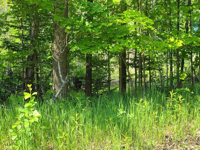 1281 W Trask Lake Rd, Oscoda, MI 48705