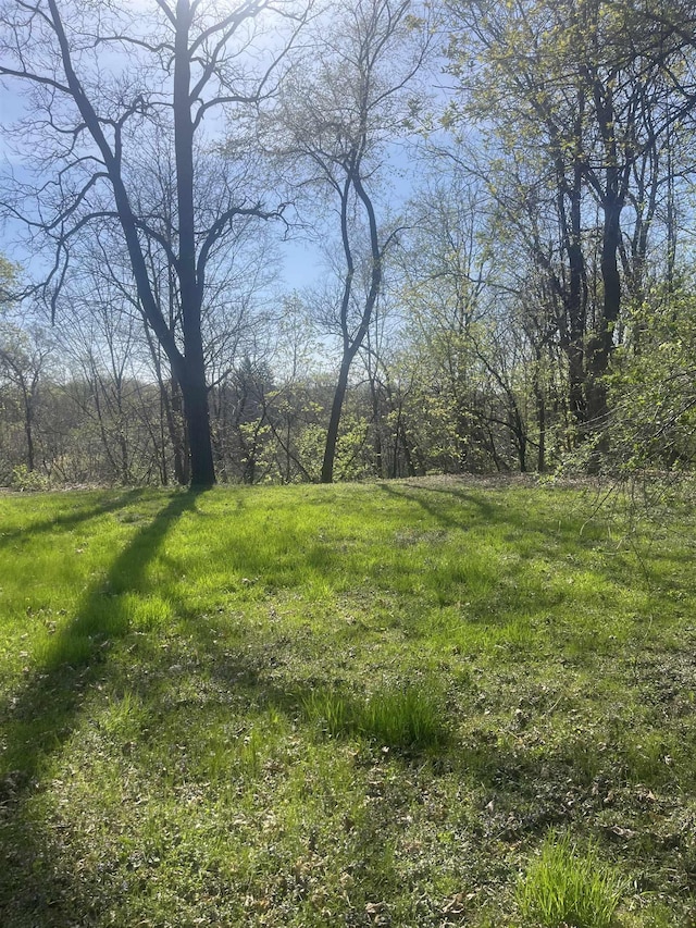 1021 2nd St, Flint, MI 48503 - view of yard featuring a view of trees