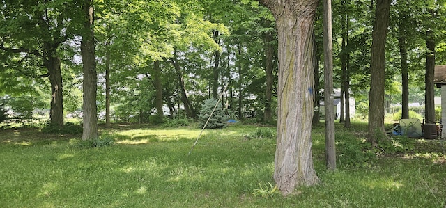 515 Osterhout St, Schoolcraft, MI 49087 - view of local wilderness