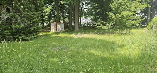 515 Osterhout St, Schoolcraft, MI 49087 - view of yard with a shed