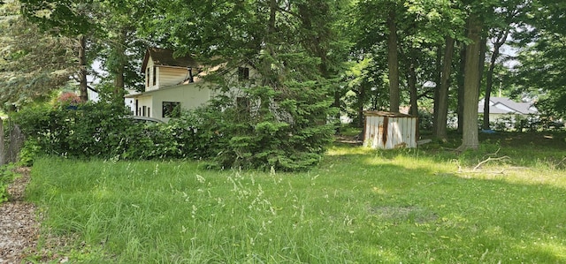 515 Osterhout St, Schoolcraft, MI 49087 - view of yard featuring a storage shed