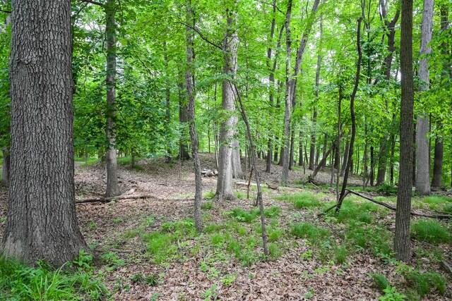 4075 N Delhi Rd, Ann Arbor, MI 48103 - photo 40