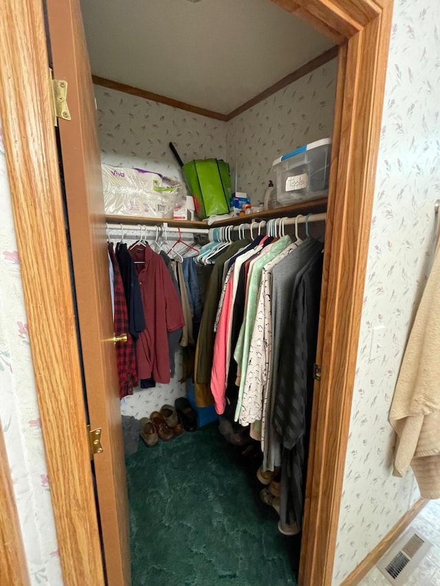 5814 N Trails End Dr, Irons, MI 49644 - spacious closet with carpet flooring