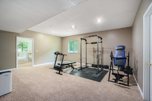 9354 Stratford Woods Trl, Kalamazoo, MI 49009 - workout area featuring carpet flooring, healthy amount of natural light, and recessed lighting