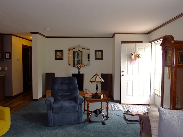 3461 S James Rd, Baldwin, MI 49304 - carpeted living area with ornamental molding