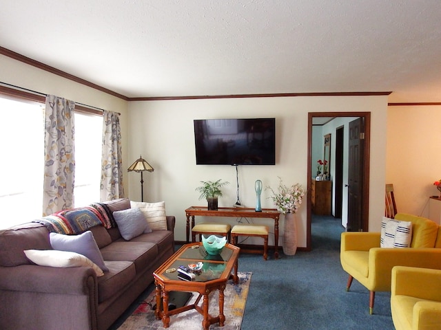 3461 S James Rd, Baldwin, MI 49304 - living room with carpet, a textured ceiling, and crown molding