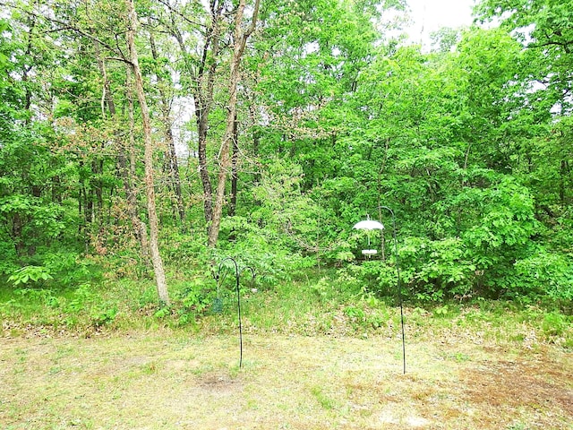3461 S James Rd, Baldwin, MI 49304 - view of wooded area