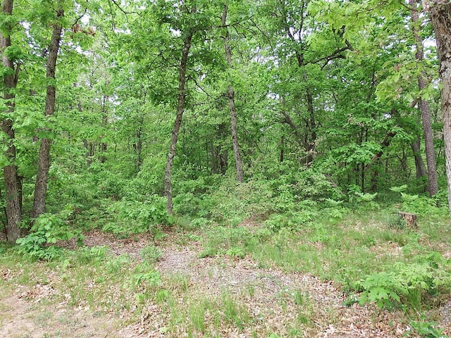 3461 S James Rd, Baldwin, MI 49304 - view of tree filled area