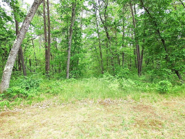 3461 S James Rd, Baldwin, MI 49304 - view of wooded area