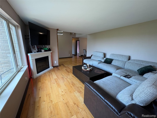 3351 Reid Rd, Swartz Creek, MI 48473 - living area with light wood-style flooring, healthy amount of natural light, and a glass covered fireplace