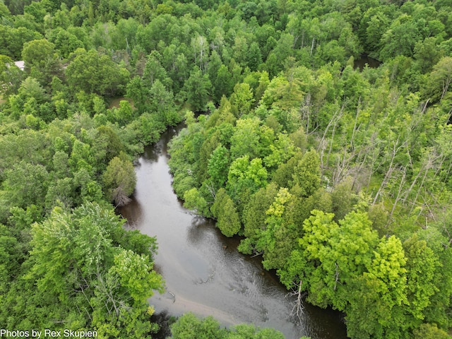 4585 W Arrowhead Dr, White Cloud, MI 49349 - drone / aerial view of a nearby body of water