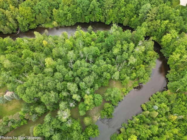 4585 W Arrowhead Dr, White Cloud, MI 49349 - view of property location