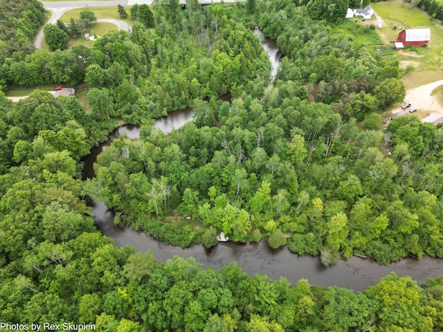 4585 W Arrowhead Dr, White Cloud, MI 49349 - drone / aerial view of a large body of water