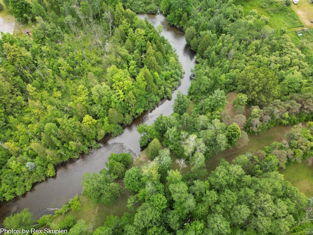 4585 W Arrowhead Dr, White Cloud, MI 49349 - bird's eye view of a nearby body of water