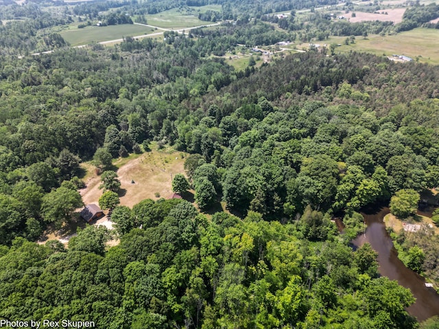 4585 W Arrowhead Dr, White Cloud, MI 49349 - drone / aerial view of a heavily wooded area