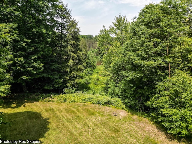 4585 W Arrowhead Dr, White Cloud, MI 49349 - view of yard with a forest view