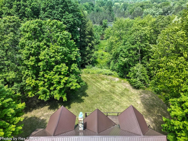4585 W Arrowhead Dr, White Cloud, MI 49349 - bird's eye view of a forest