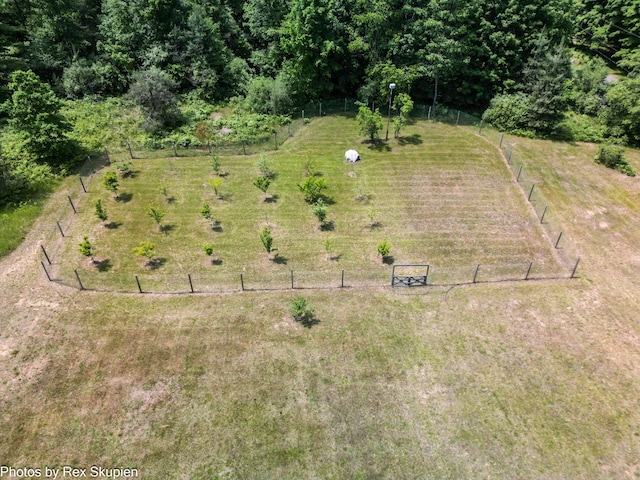 4585 W Arrowhead Dr, White Cloud, MI 49349 - aerial view