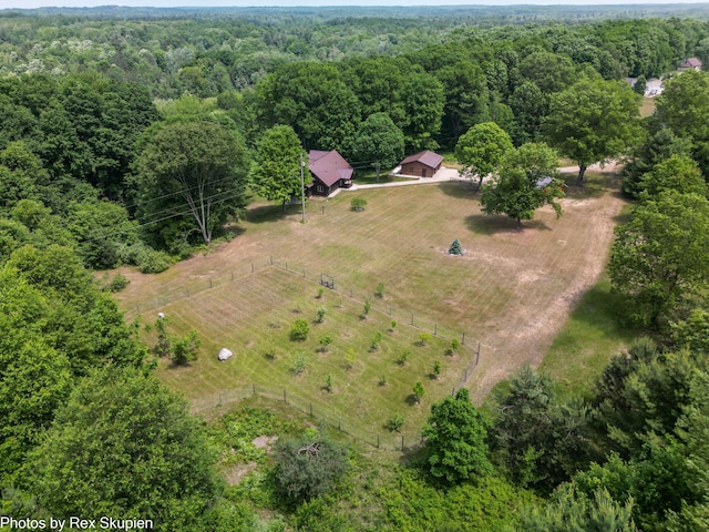 4585 W Arrowhead Dr, White Cloud, MI 49349 - overview of rural landscape featuring a forest