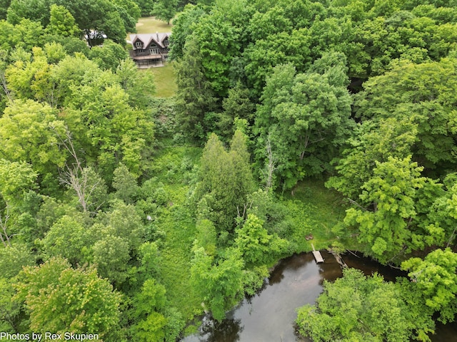 4585 W Arrowhead Dr, White Cloud, MI 49349 - view from above of property featuring a nearby body of water