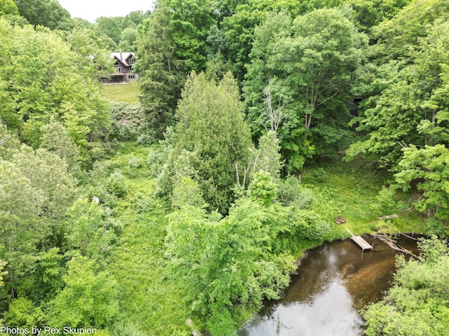 4585 W Arrowhead Dr, White Cloud, MI 49349 - aerial view of property and surrounding area with a forest