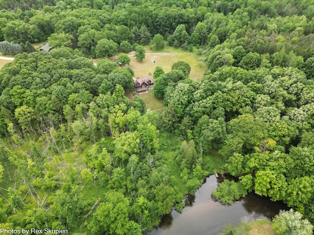 4585 W Arrowhead Dr, White Cloud, MI 49349 - aerial view of property's location with a heavily wooded area and a large body of water