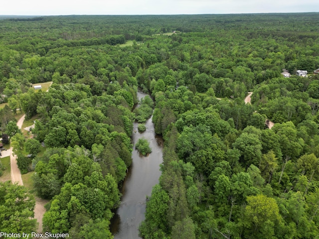 4585 W Arrowhead Dr, White Cloud, MI 49349 - drone / aerial view of a forest