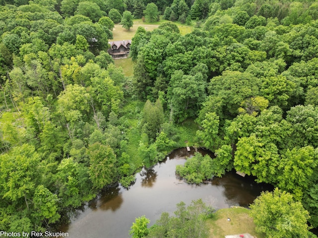 4585 W Arrowhead Dr, White Cloud, MI 49349 - drone / aerial view of a large body of water and a heavily wooded area