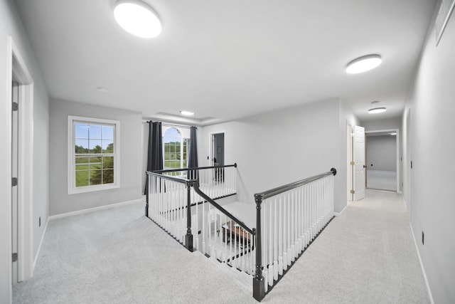 874 Pinecrest, Dexter, MI 48130 - hallway featuring carpet and an upstairs landing