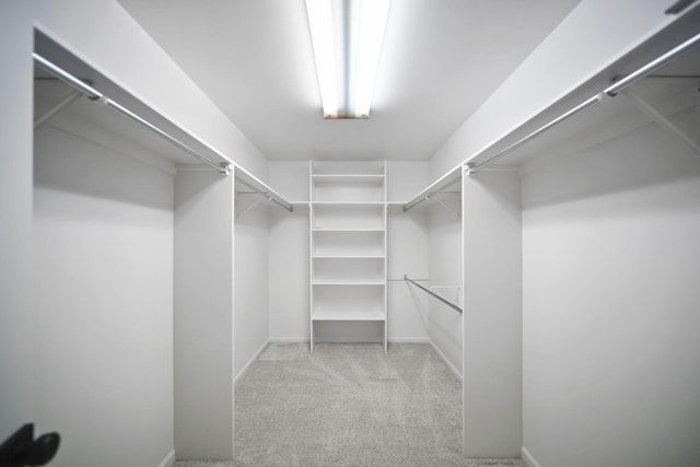 874 Pinecrest, Dexter, MI 48130 - spacious closet with light colored carpet
