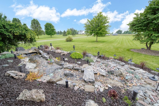 874 Pinecrest, Dexter, MI 48130 - view of grassy yard