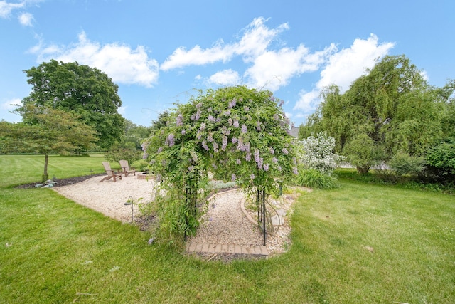 874 Pinecrest, Dexter, MI 48130 - view of green lawn with an outdoor fire pit