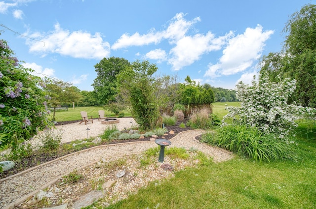 874 Pinecrest, Dexter, MI 48130 - view of green lawn featuring an outdoor fire pit